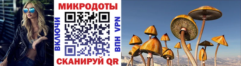 наркота  Гороховец  Псилоцибиновые грибы мицелий 